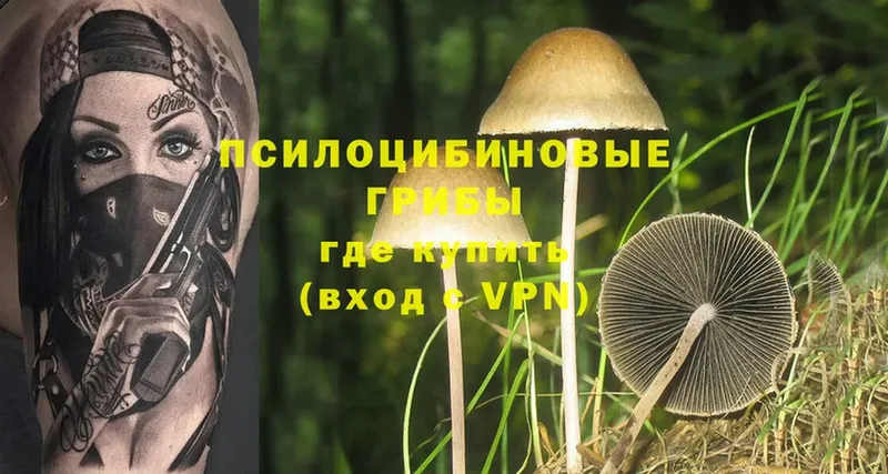 Галлюциногенные грибы MAGIC MUSHROOMS  Безенчук 